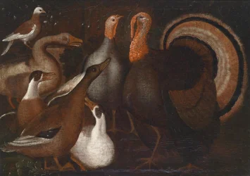 Putti, Ducks, and a Dove